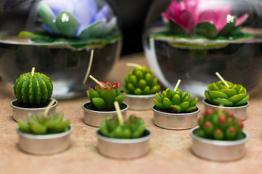 Cactus Tealight Candles - Phyther Candles