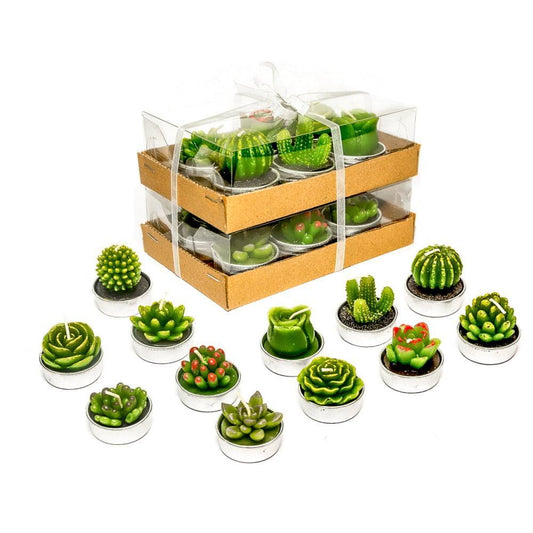 Cactus Tealight Candles (12 pieces) - Phyther Candles