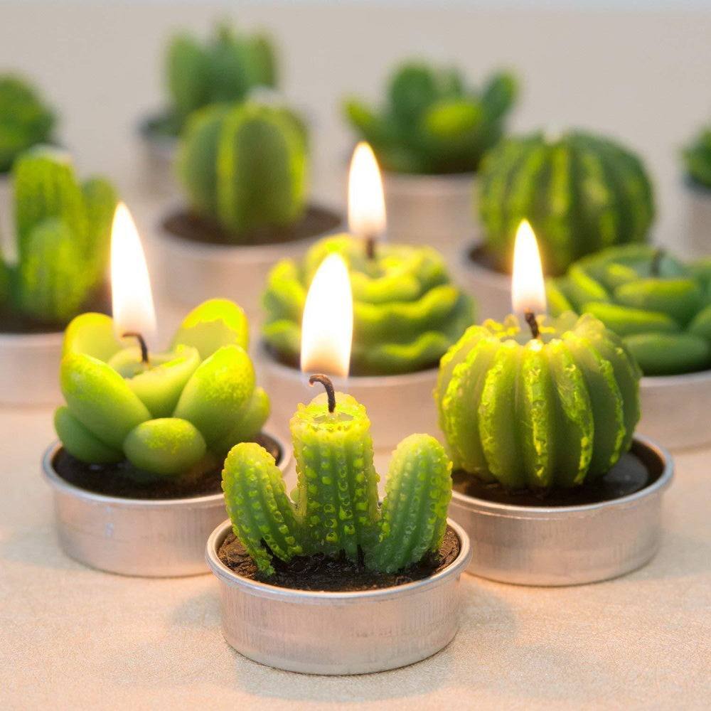 Cactus Tealight Candles (12 pieces) - Phyther Candles